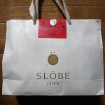 iena-slobe2011-1