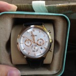 Fossil2013-2