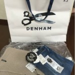 denham2016-1