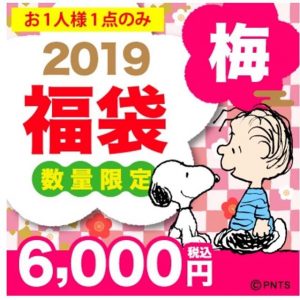 スヌーピーの福袋2019-3-3