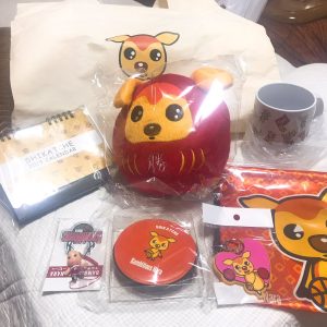 バンビシャス奈良の福袋の中身2019-4-1
