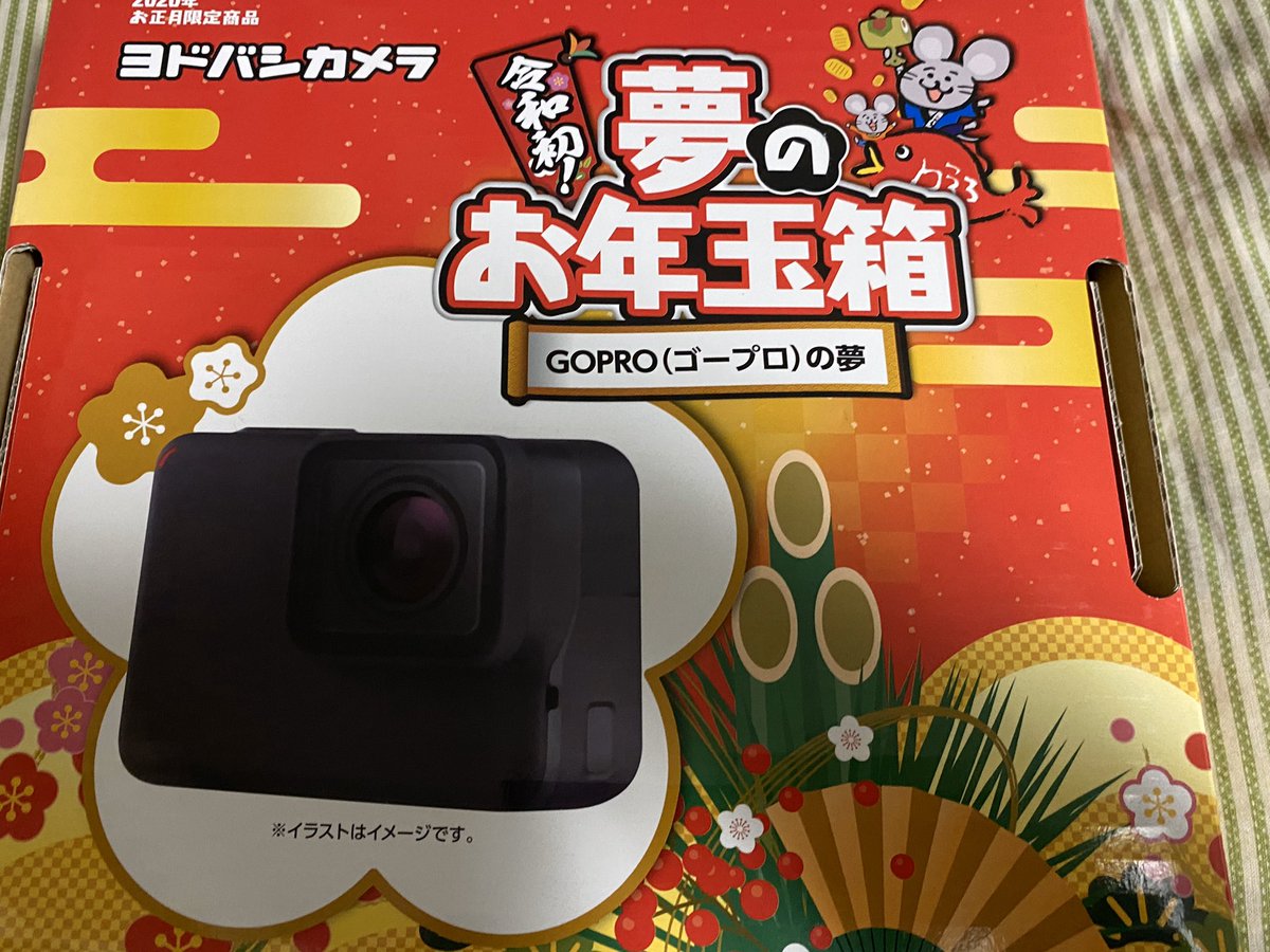 モニタ ヨドバシカメラ GoProの通販 by たえこ's shop｜ラクマ お年玉 