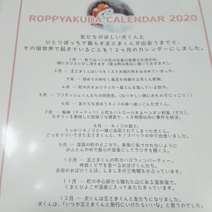 六百田商店の福袋2020-2-3