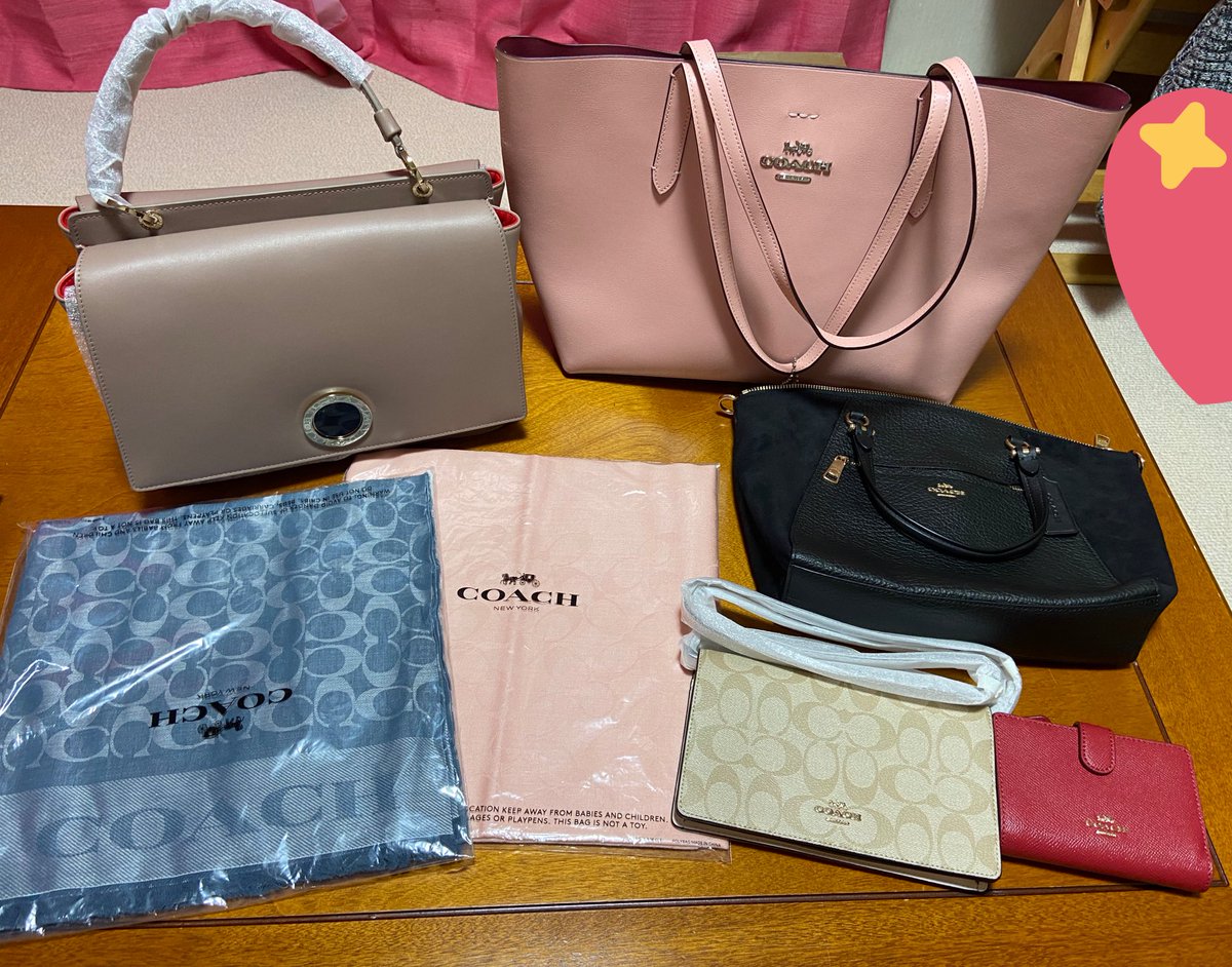 COACH 2021 福袋 レディース（26万円相当） - www.tigerwingz.com