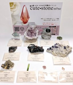 cute stoneの福袋の中身2021-1-1