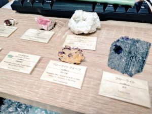 cute stoneの福袋の中身2021-13-1