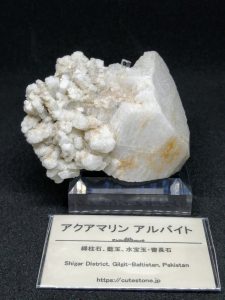 cute stoneの福袋ネタバレ2021-11-2