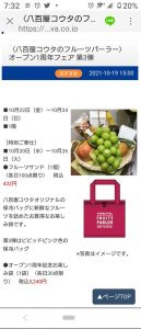 の福袋の中身2022-15-1