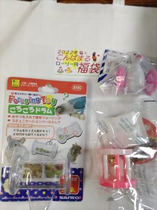 インコ・オウム専門店 こんぱまるの福袋2022-8-3