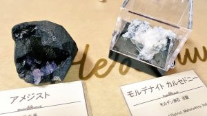 cute stoneの福袋ネタバレ2022-10-2