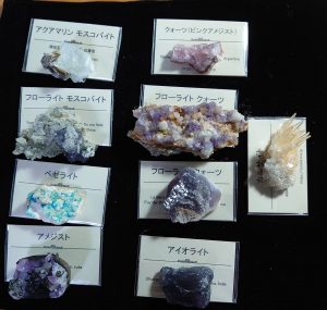 cute stoneの福袋ネタバレ2022-8-2
