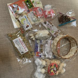 インコ・オウム専門店 こんぱまるの福袋2022-9-3