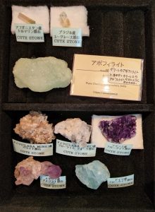 cute stoneの福袋ネタバレ2023-5-2