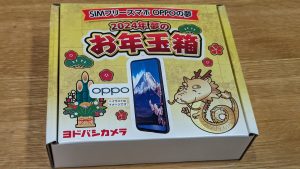 ヨドバシ『SIMフリースマホ OPPOの夢』の福袋の中身2024-3-1