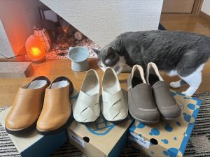 の福袋の中身2024-12-1