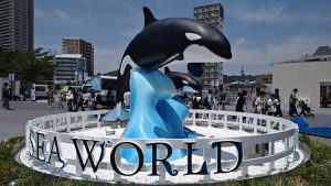 神戸市立須磨海浜水族園の福袋2024-4-3