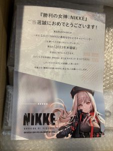 NIKKEの福袋の中身2024-12-1