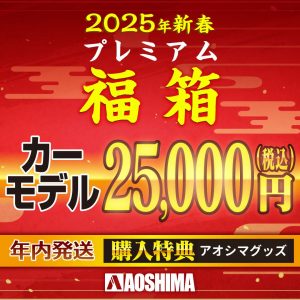 の福袋の中身2025-2-1