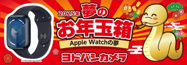 ヨドバシ『Apple Watchの夢』福袋[2025]の中身をネタバレします！