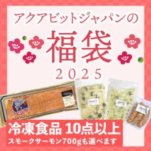 アクアビットジャパンの福袋ネタバレ2025-1-2