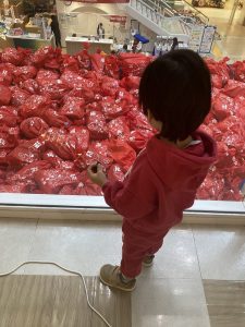 楽しい福袋の福袋の中身2025-5-1