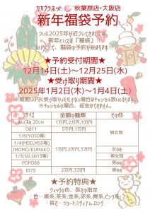カカプラネットの福袋の中身2025-17-1