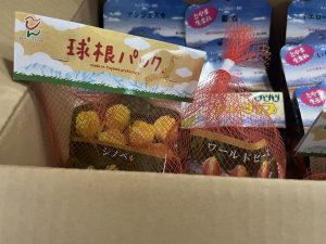 チューリップの福袋を公開2025-5-4