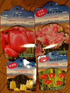チューリップの福袋の中身2025-4-1