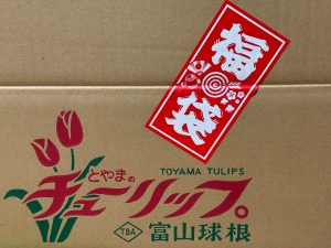 チューリップの福袋の中身2025-3-1