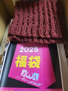 ニーキューオメガの福袋の中身2025-1-1