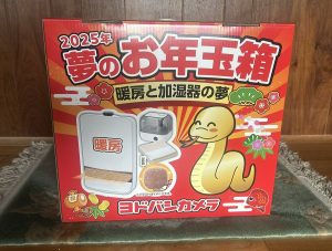 の福袋の中身2025-9-1