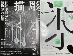 の福袋2025-5-3