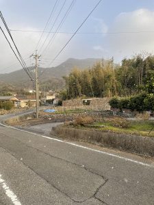 早稲田大学の福袋ネタバレ2025-1-2