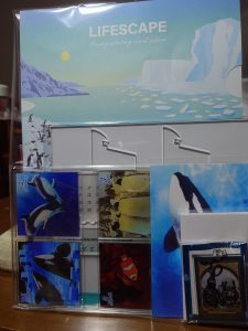 名古屋港水族館の福袋の中身2025-3-1