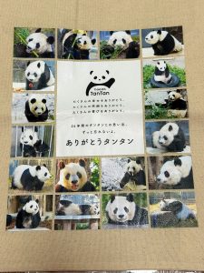 パンダプラザの福袋2025-3-3