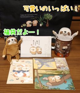 ただのなまけものの福袋の中身2025-4-1
