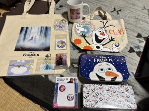 アナと雪の女王の福袋の中身2025-1-1
