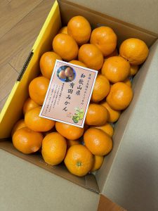 の福袋の中身2025-2-1