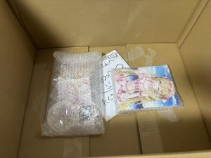 姫乃のえの福袋の中身2025-1-1
