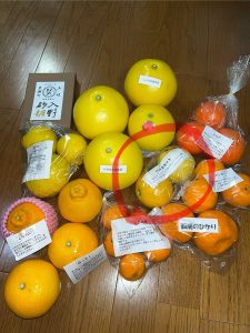 の福袋の中身2025-10-1
