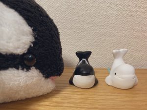 の福袋の中身2025-1-1