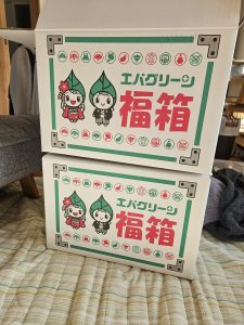 エバグリーンの福袋の中身2025-3-1