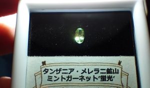 Bribook Gemの福袋ネタバレ2025-1-2