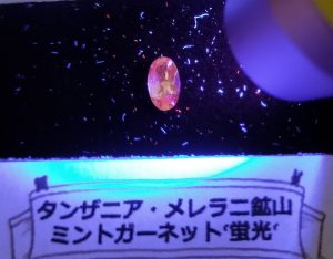Bribook Gemの福袋2025-1-3
