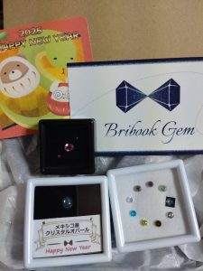 Bribook Gemの福袋の中身2025-5-1