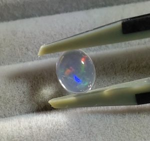 Bribook Gemの福袋ネタバレ2025-5-2