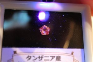 Bribook Gemの福袋ネタバレ2025-7-2
