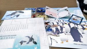 の福袋の中身2025-14-1