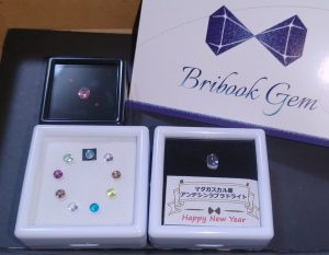 Bribook Gemの福袋の中身2025-14-1