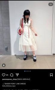 パメオポーズの福袋の中身2025-1-1